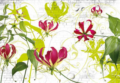 Fototapeta Imagine Gloriosa