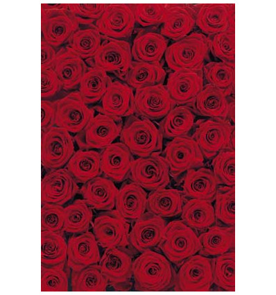 Fototapeta Imagine Roses