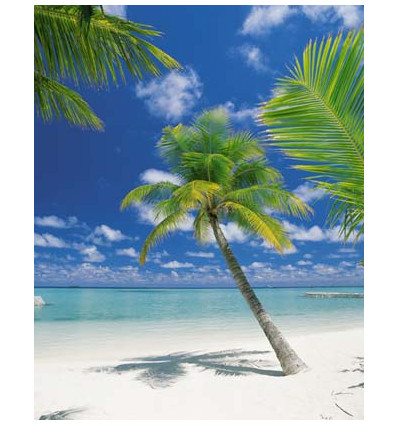 Komar Fototapeta Scenics Ari Atoll