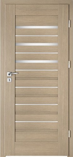 Intenso Avangarde Lion Steel W-5