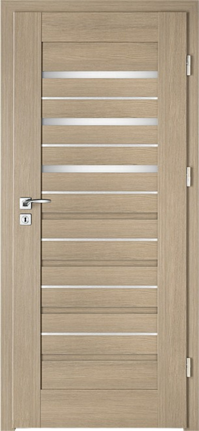 Intenso Avangarde Lion Steel W-5