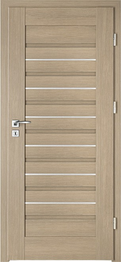 Intenso Avangarde Lion Steel W-2