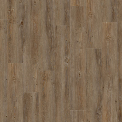 Gerflor Creation 55 Buffalo 0457